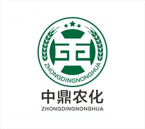 【重磅】这就是习主席2021年新年贺词！
